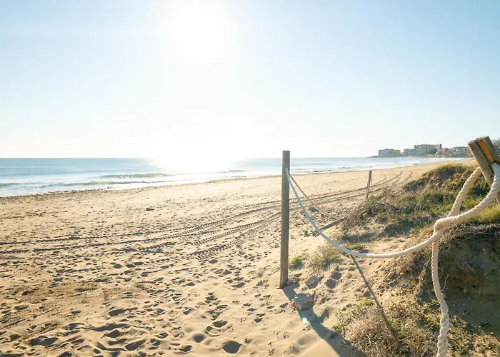 Pink Vistabella 1 Torrevieja