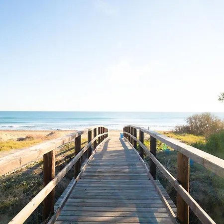 Pink Vistabella 1 - Winter By The Sea